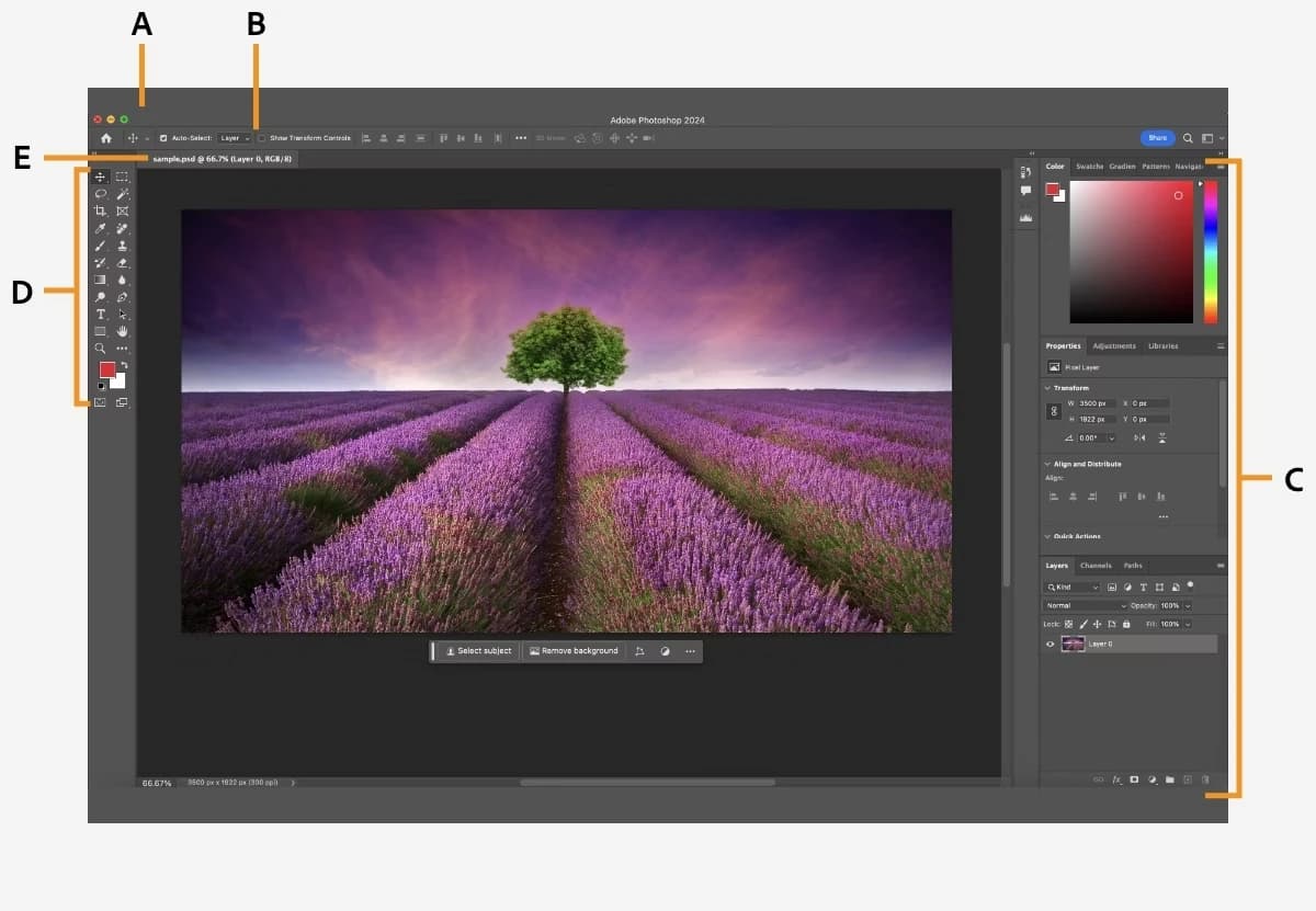  Photoshop Workspace